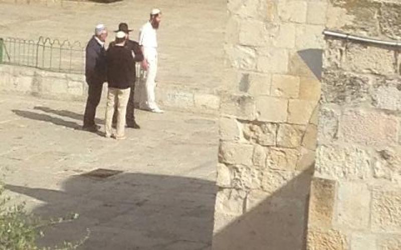 صور: اقتحام المستوطنون لباحات الأقصى