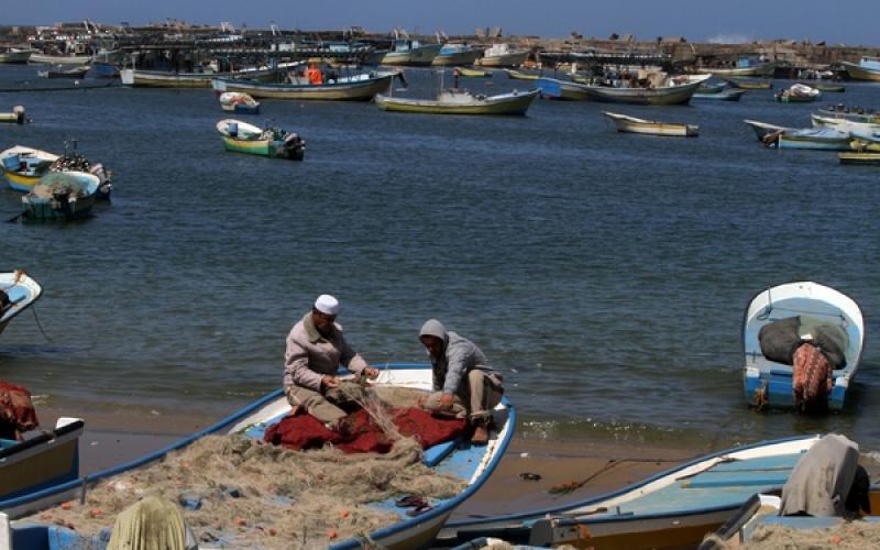 صور: أجواء ميناء غزة اليوم الأربعاء