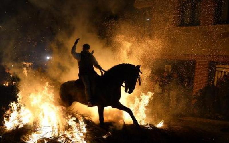 صور: جياد ترقص في النار