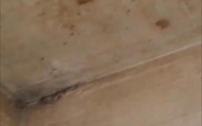 صور: أوضاع مزرية في سجون مصر