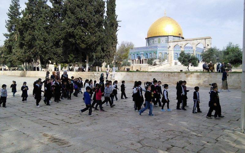 بالصور: مستوطنون يدنسون ساحات الأقصى