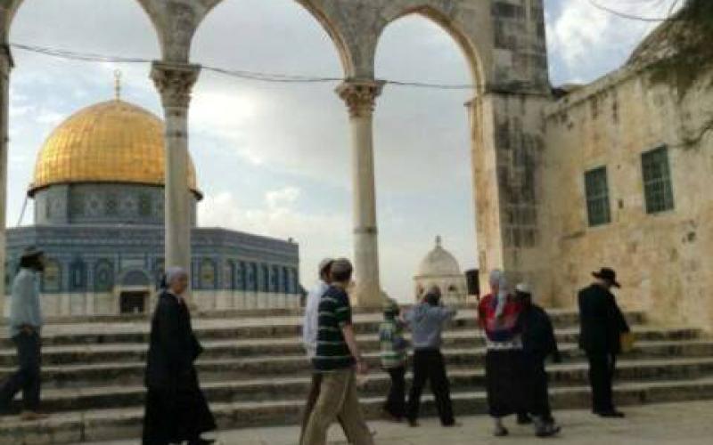 بالصور: مستوطنون يدنسون ساحات الأقصى
