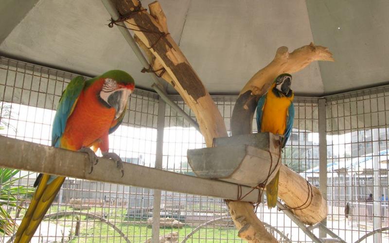 بالصور: "نماء" تفتتح حديقة Jabalia-Zoo
