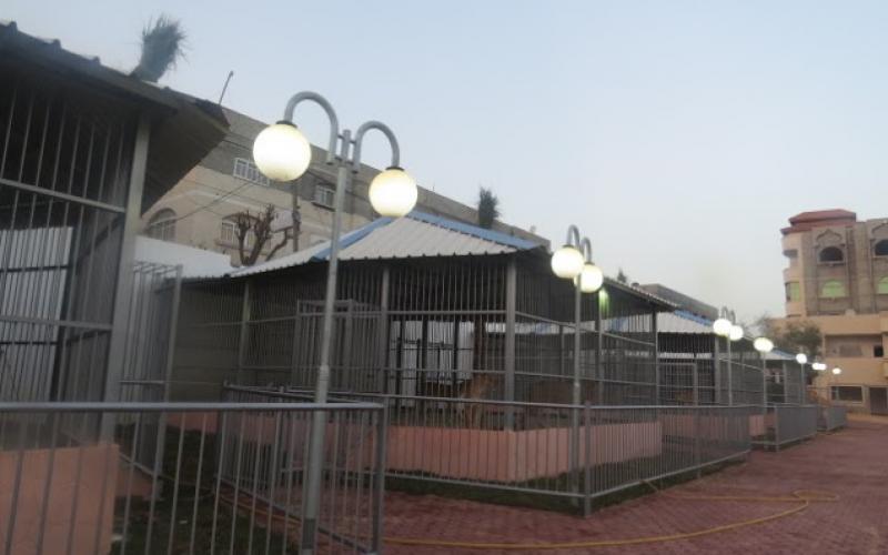 بالصور: "نماء" تفتتح حديقة Jabalia-Zoo