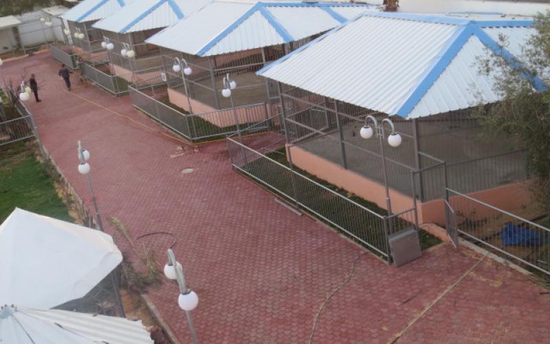 بالصور: "نماء" تفتتح حديقة Jabalia-Zoo