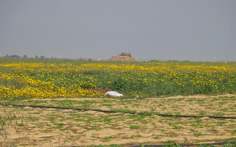صور: التوغل الإسرائيلي شرق خانيونس