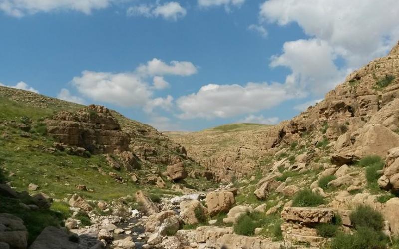 صور: وادي القلط قرب أريحا بالضفة المحتلّة