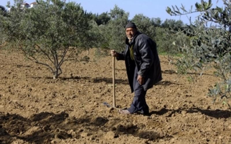 أبو العبد.. يزرعُ أرضه وحيداً بلا سند