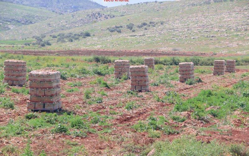 صور: الطبيعة في سهل البقيعة شرقي طوباس