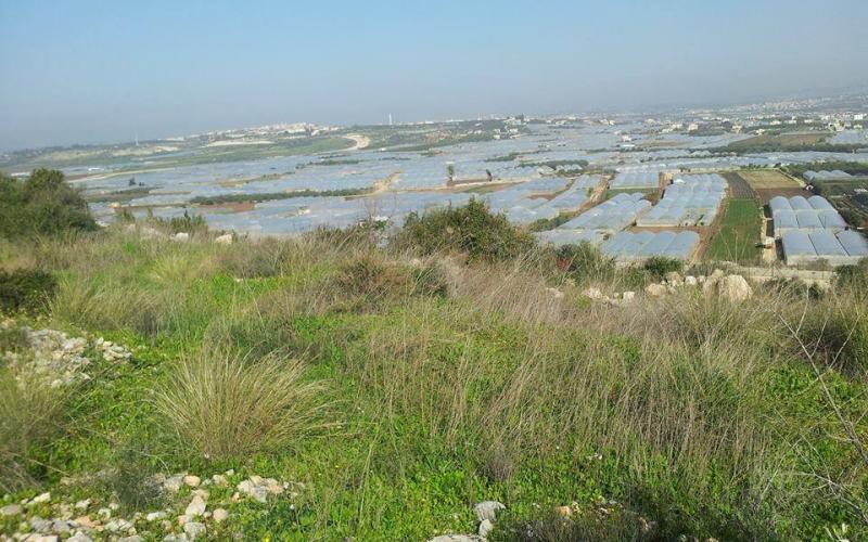 صور: بلدة دير الغصون قضاء طولكرم