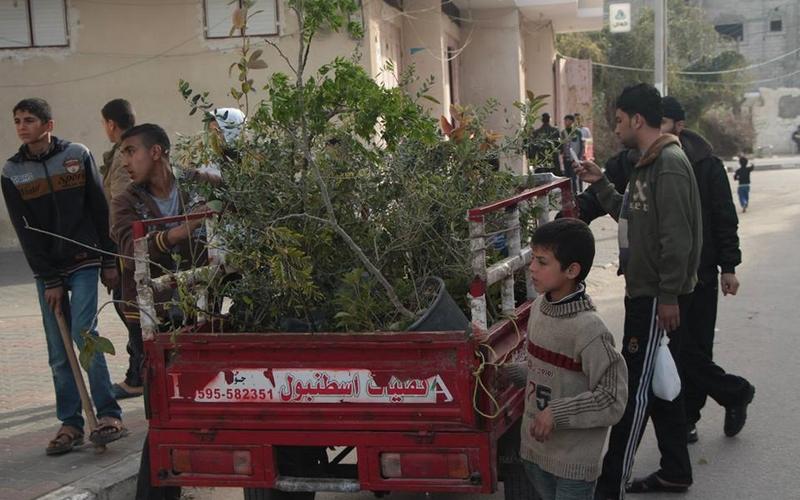 صور: حملة تطوعية لزراعة الأشجار بدير البلح