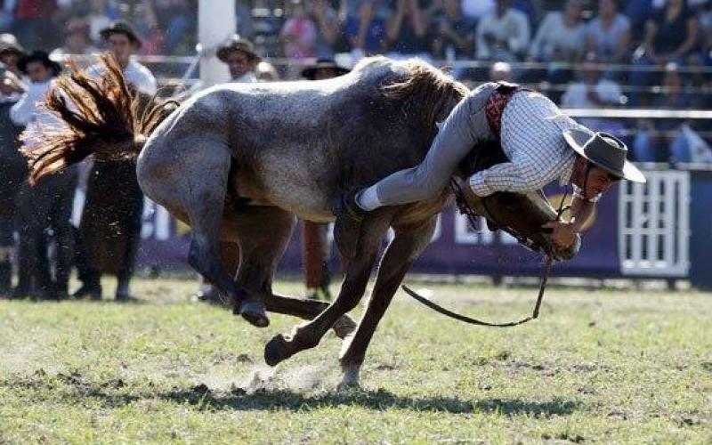 صور: رياضة "الروديو" بالأورجواي