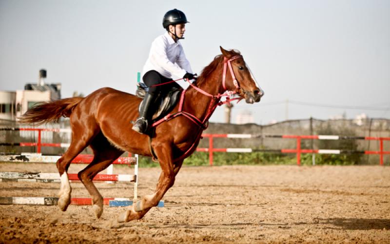 صور.. رياضة ركوب الخيل بغزة