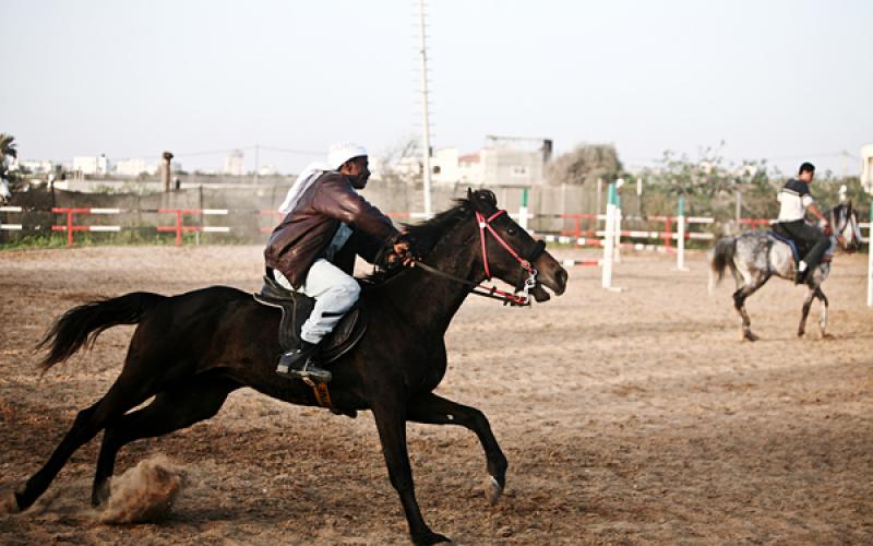 صور.. رياضة ركوب الخيل بغزة