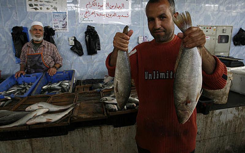 صور.. سمك من مصر إلى غزة عبر الأنفاق