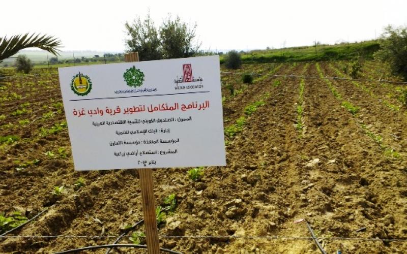 بالصور:مشروع بـ 28 مليون$ لتطوير جحر الديك