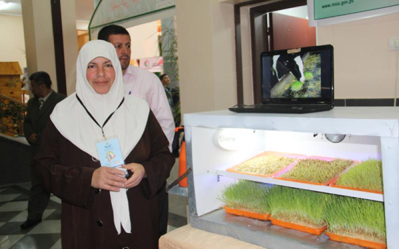 صور: الزراعة تفتتح معرضها الرابع‎