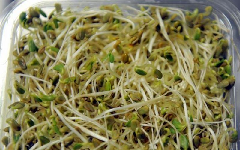 صور: فضائح المواد الغذائية في ألمانيا