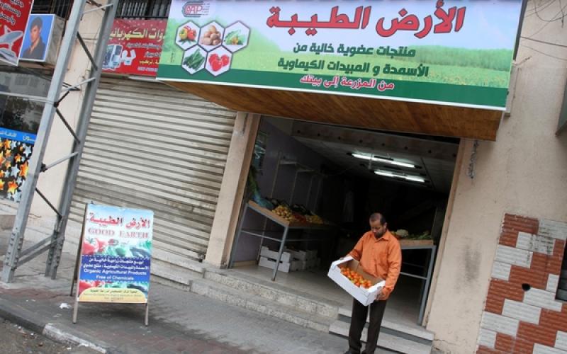 صور: أول متجر للخضراوات العضوية بغزة