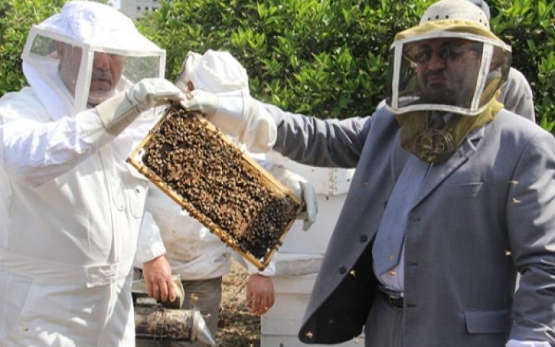 صور: الزراعة تفتتح موسم جني العسل