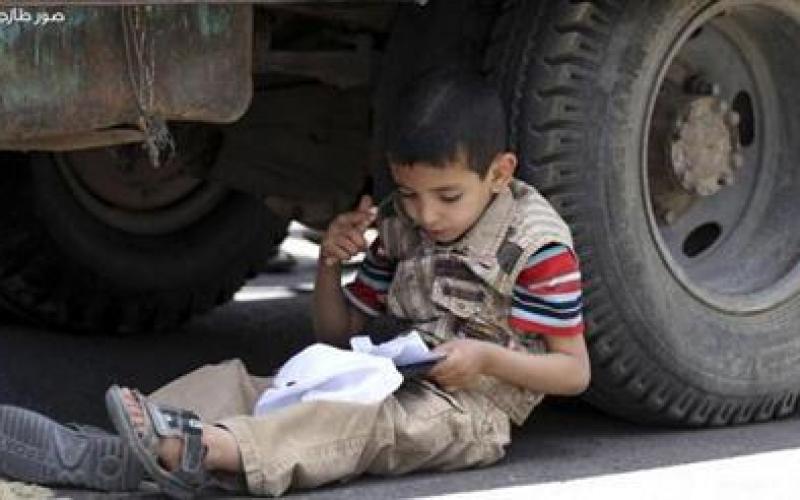 صور: الكثير من الغرابات