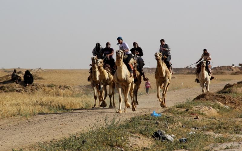 صور: سباق "الهجن" في خانيونس