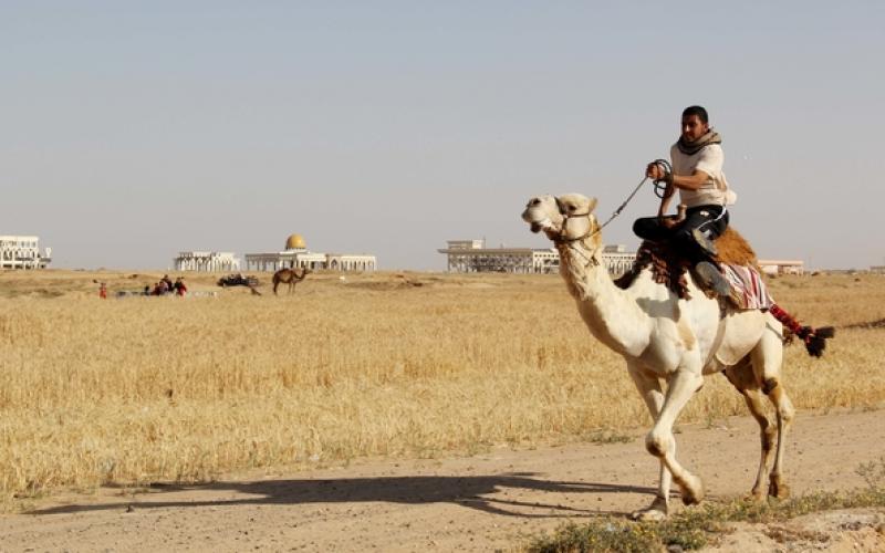 صور: سباق "الهجن" في خانيونس