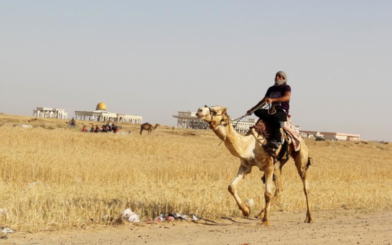 صور: سباق "الهجن" في خانيونس