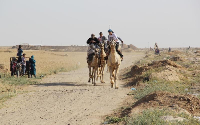 صور: سباق "الهجن" في خانيونس