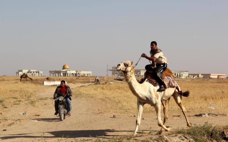 صور: سباق "الهجن" في خانيونس