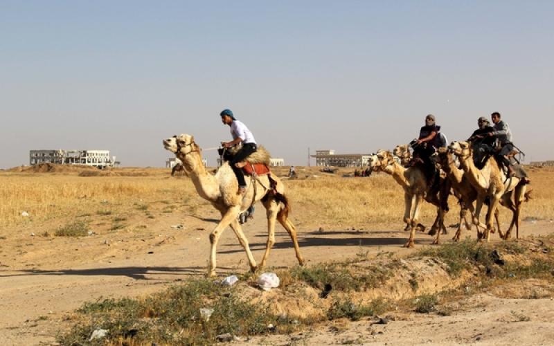 صور: سباق "الهجن" في خانيونس