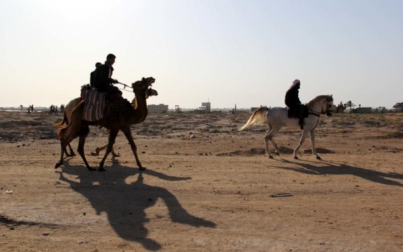 صور: سباق "الهجن" في خانيونس