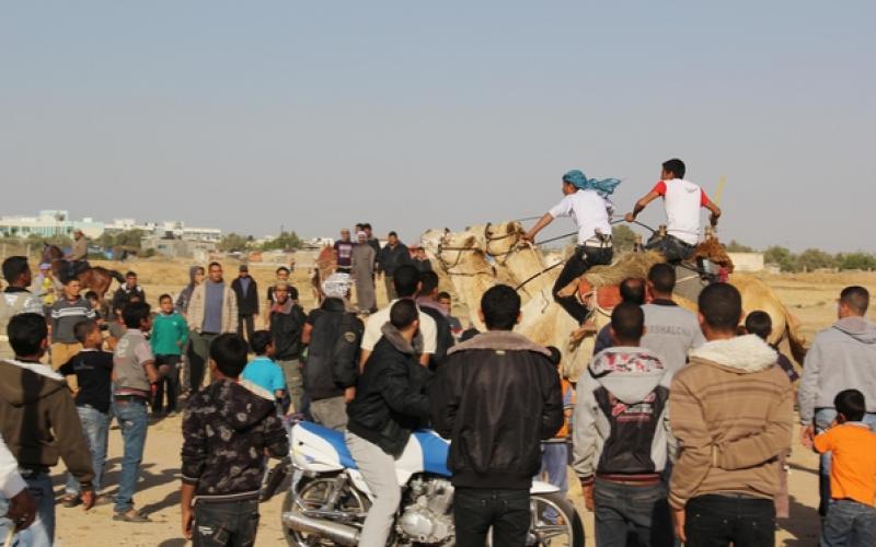 صور: سباق "الهجن" في خانيونس