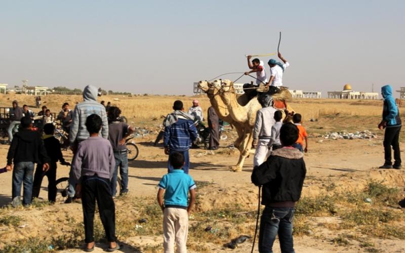 صور: سباق "الهجن" في خانيونس