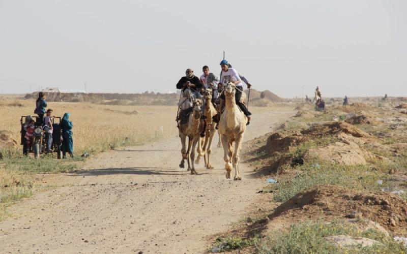 صور: سباق "الهجن" في خانيونس