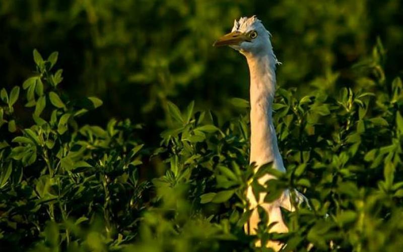 صور: الطبيعة الخلابة جنوب حيفا