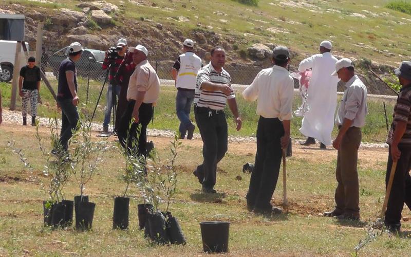 صور: زراعة أشجار بأراضي مهددة بالاغوار‎