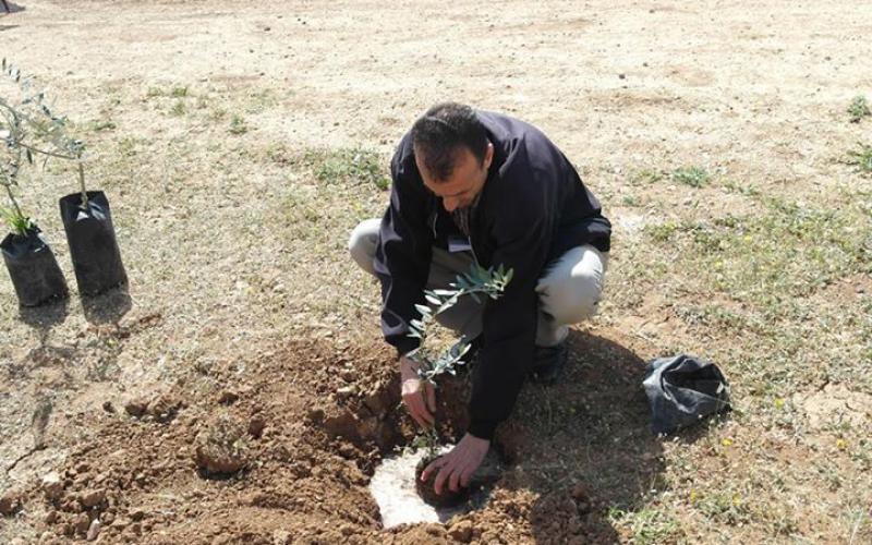 صور: زراعة أشجار بأراضي مهددة بالاغوار‎