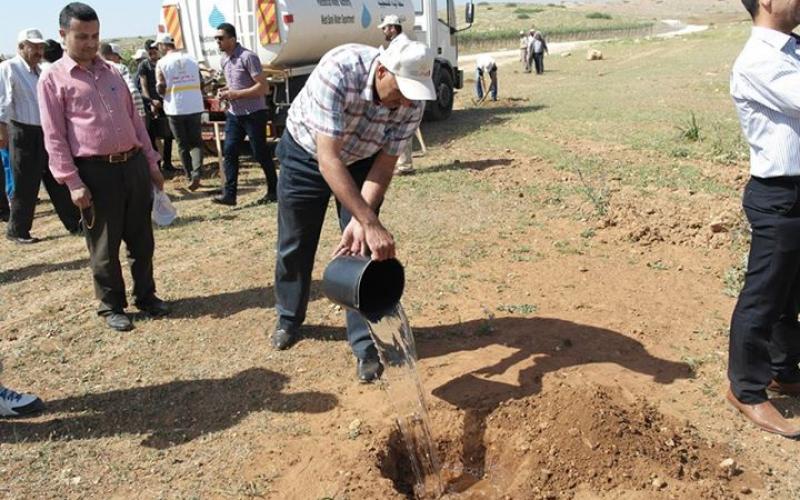 صور: زراعة أشجار بأراضي مهددة بالاغوار‎