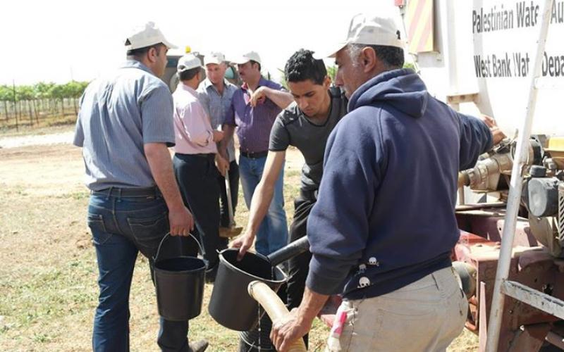 صور: زراعة أشجار بأراضي مهددة بالاغوار‎