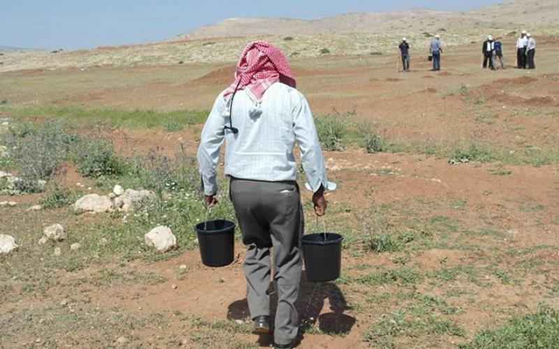 صور: زراعة أشجار بأراضي مهددة بالاغوار‎