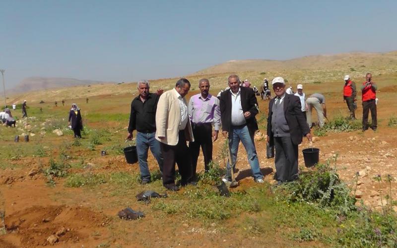 صور: زراعة أشجار بأراضي مهددة بالاغوار‎