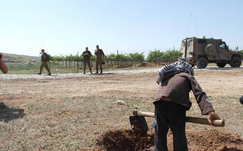 صور: زراعة أشجار بأراضي مهددة بالاغوار‎