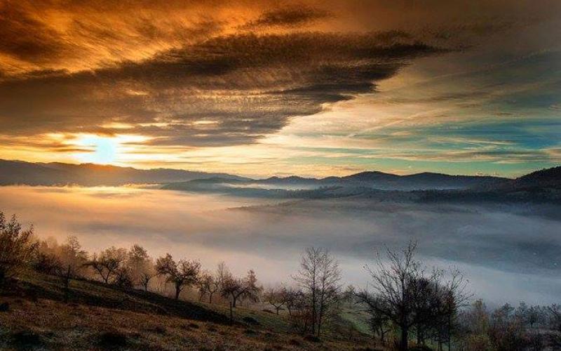 صور: مشاهد من الطبيعة فى غابات رومانيا