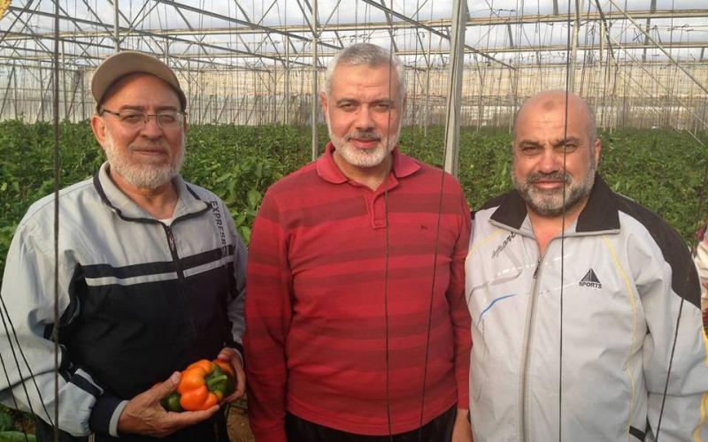 صور: هنية يتفقد محررة "حطين" الزراعية