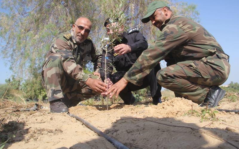 صور: زرع نصف مليون شتلة على حدود رفح