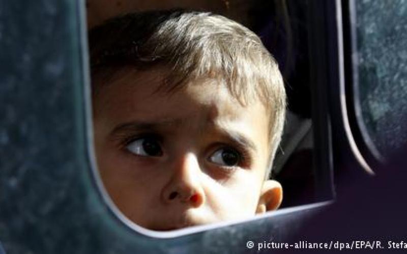 صور: مهاجرون وليمة لأسماك البحر