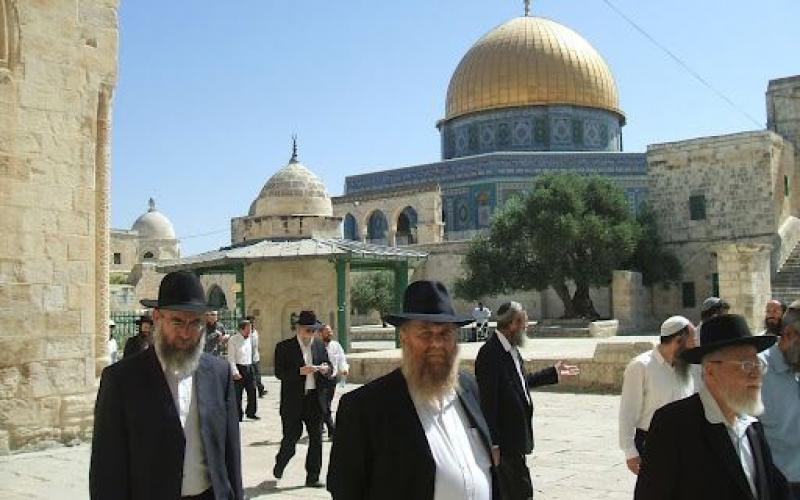 بالصور: مستوطنون يقتحمون الأقصى وسط حراسة مشددة