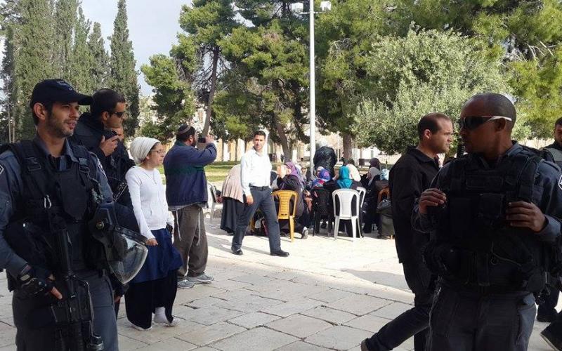 بالصور: مستوطنون يقتحمون الأقصى وسط حراسة مشددة