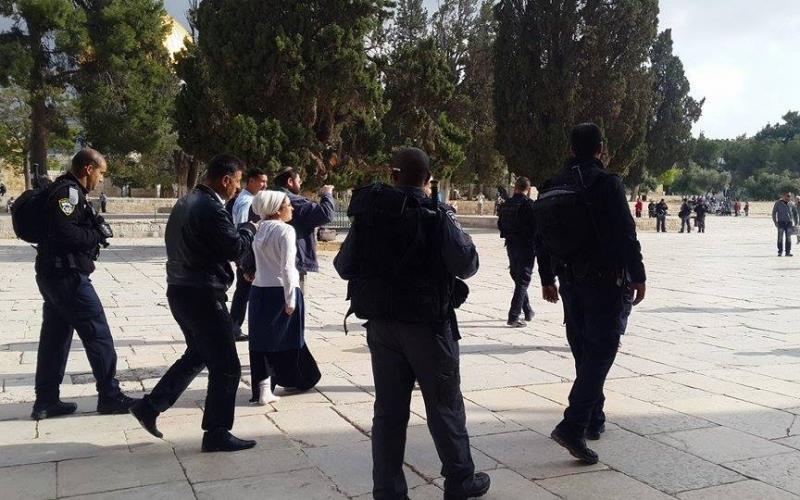 بالصور: مستوطنون يقتحمون الأقصى وسط حراسة مشددة